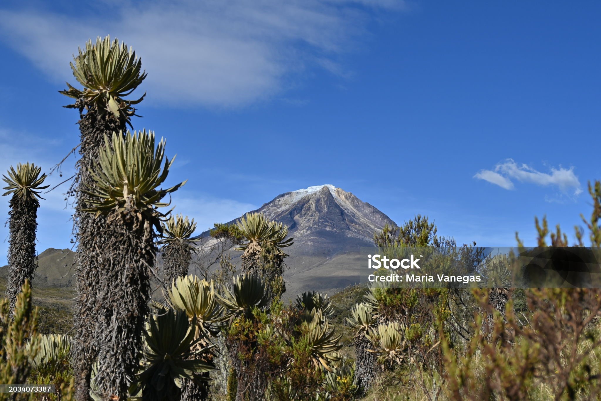 Paisaje de Colombia para MPTutum